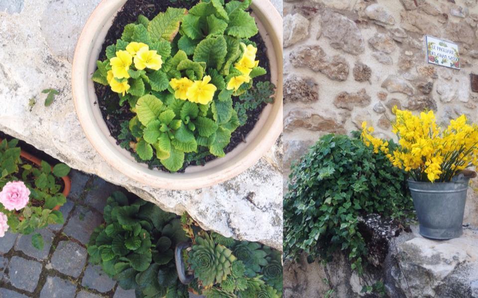 Le Pagliare Del Gran Sasso Bed and Breakfast Assergi Εξωτερικό φωτογραφία