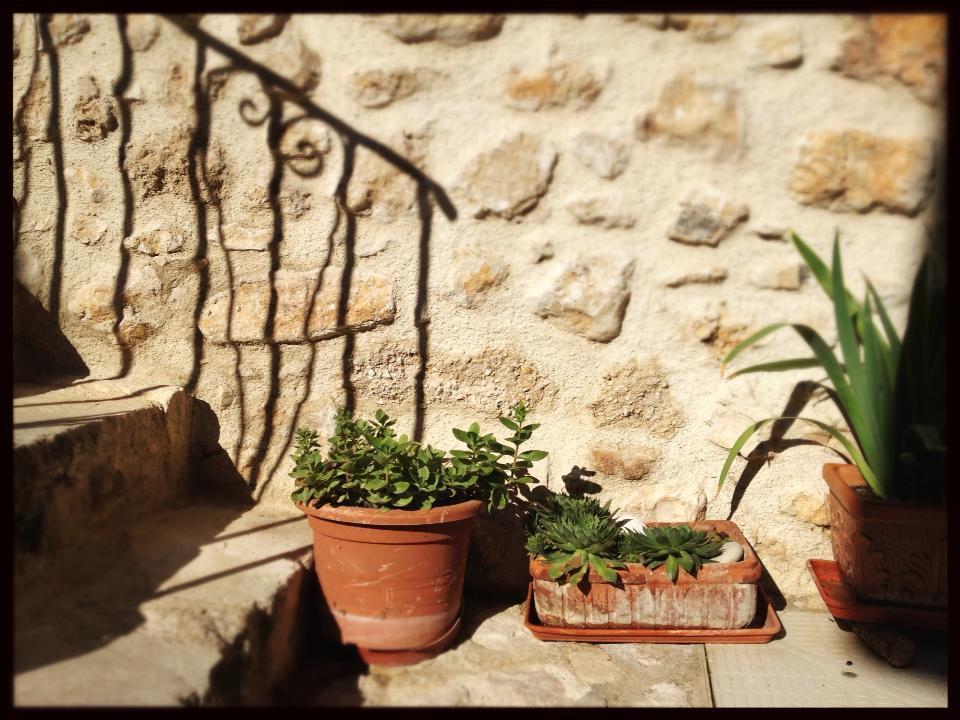 Le Pagliare Del Gran Sasso Bed and Breakfast Assergi Εξωτερικό φωτογραφία